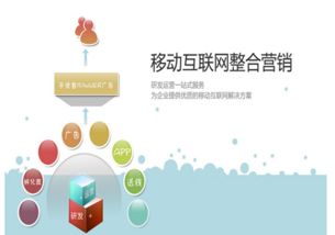 邵明宇的互聯(lián)網(wǎng)營銷模式與銷售策略解析